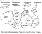 Chap 4 Plate Tectonics