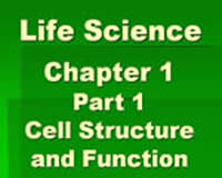 Cell Structure and Function
