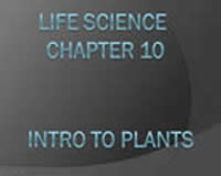 Introduction to Plants